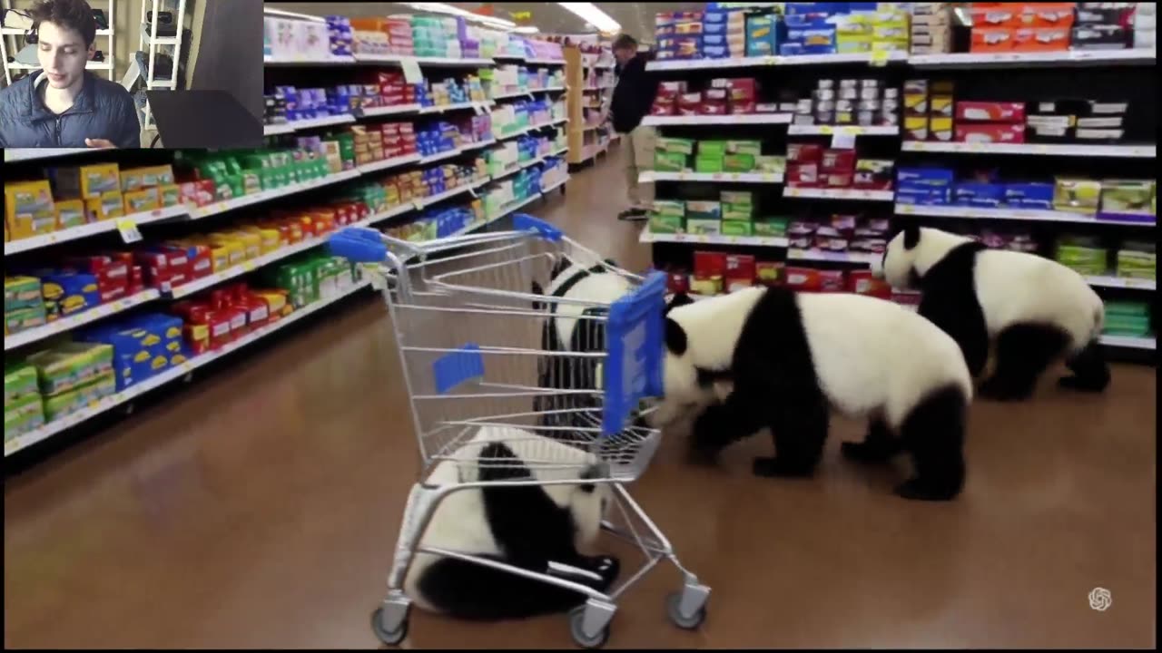 Outtake #1,211 Of Over 5 Panda Bears Roam Around A Walmart Supercenter Fake Funny Parody Video