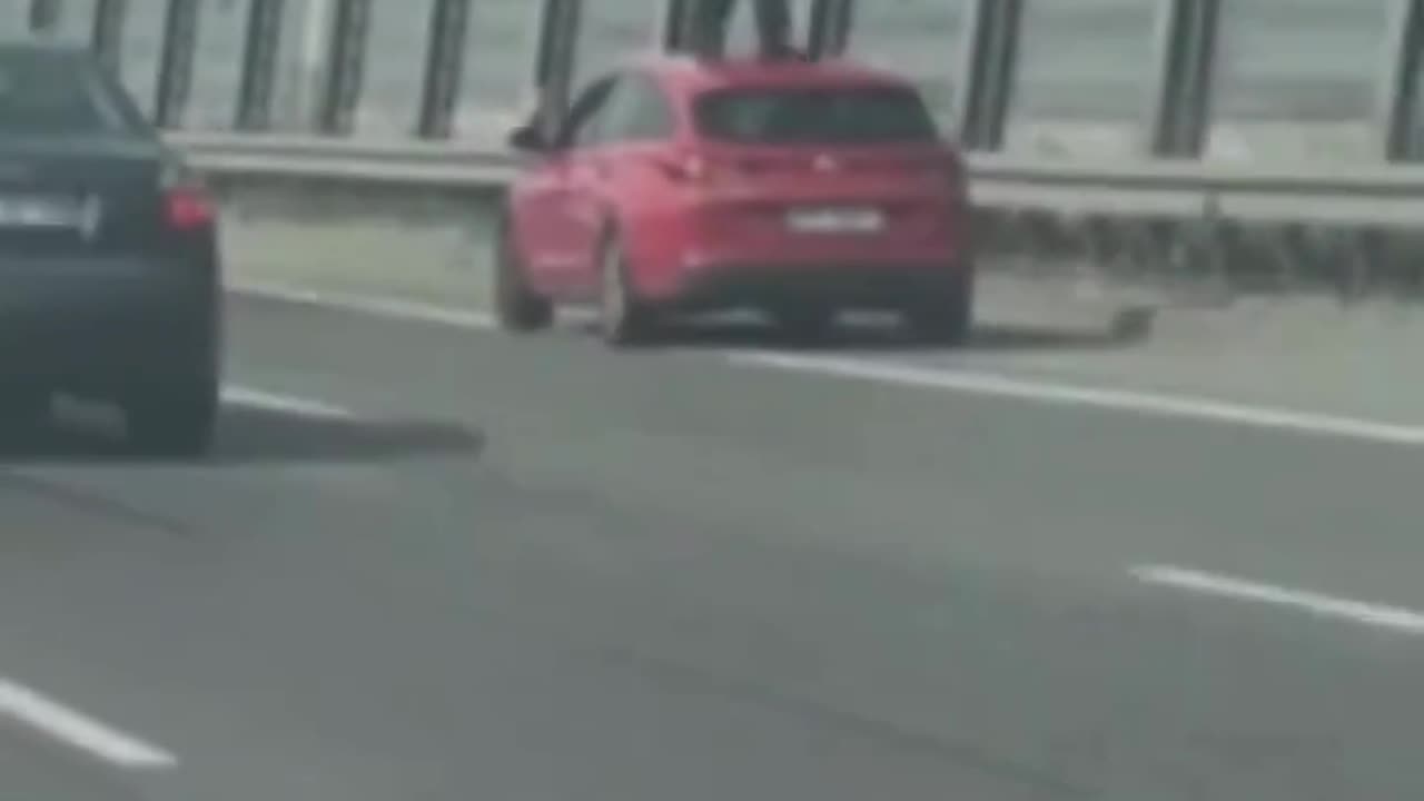 Belarusian Causes Multiple Accidents While Under the Influence.
