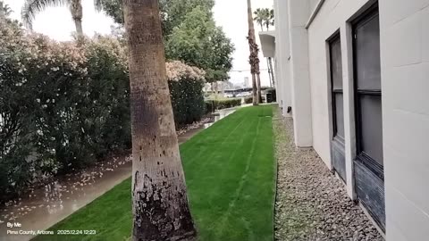 Tucson Rain