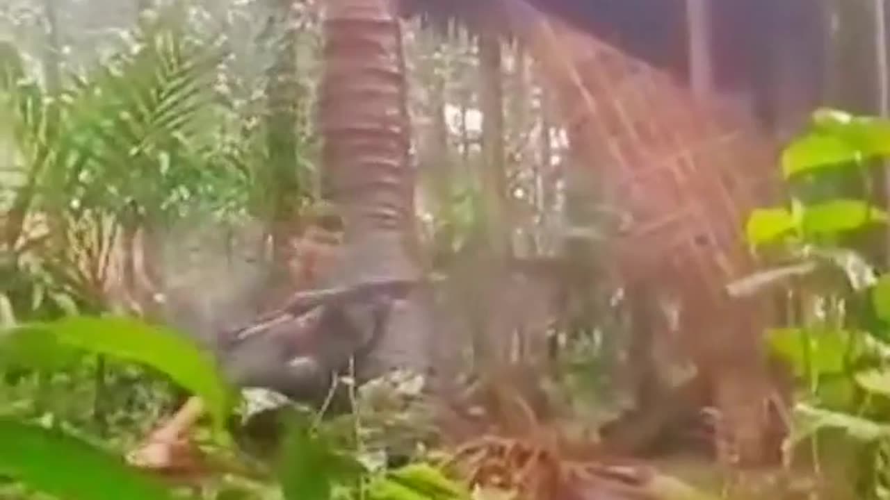 🔫🔥 Myanmar War | Dawei Defense Team in Intense Close-Quarters Combat | RCF