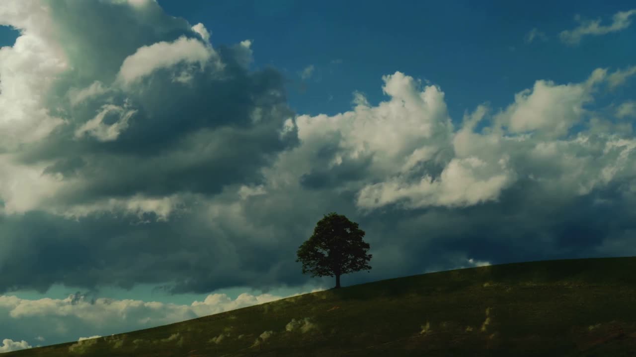 人類史ショート：ハビリス絶滅の真相を秒速解説