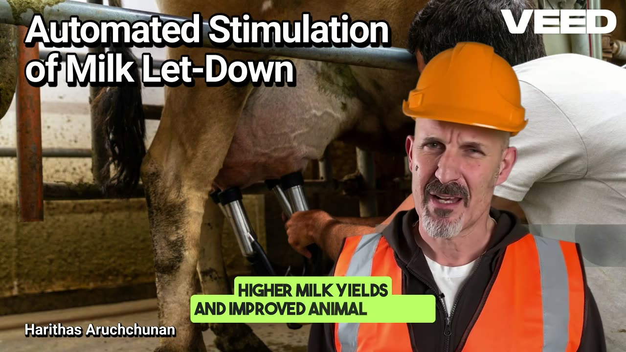 Revolutionize Dairy Farming:Automated Milking