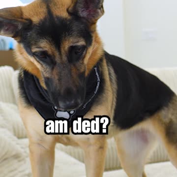 We should NOT have done this