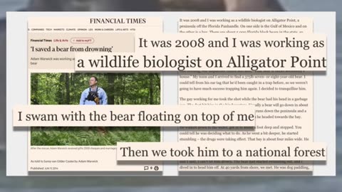 Fact Check: Russian Visitor Ivan Stepanov Didn't Rescue Drowning Bear From Lake Tahoe - Stolen Story