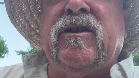 FREEDOM LOVING AMERICAN