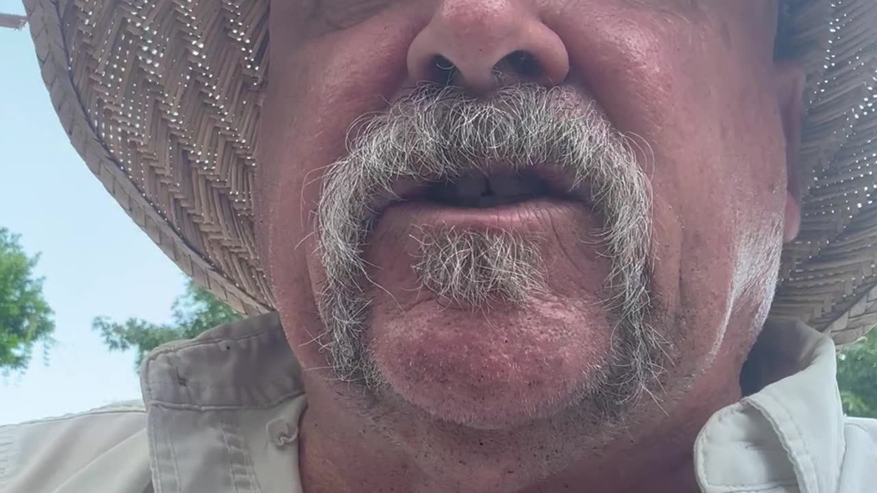 FREEDOM LOVING AMERICAN