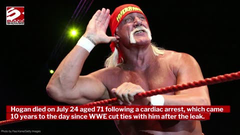 Vince McMahon says Hulk Hogan 'said some racist things' but 'wasn't a racist'