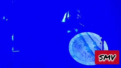 #ShittyMillennialVideos 📱📹🎬 Eivør 🛡️⚔️🏰 - Lívstræðrir 🔨😢 @ Wonder Ballroom Portland, OR 02/05/2025