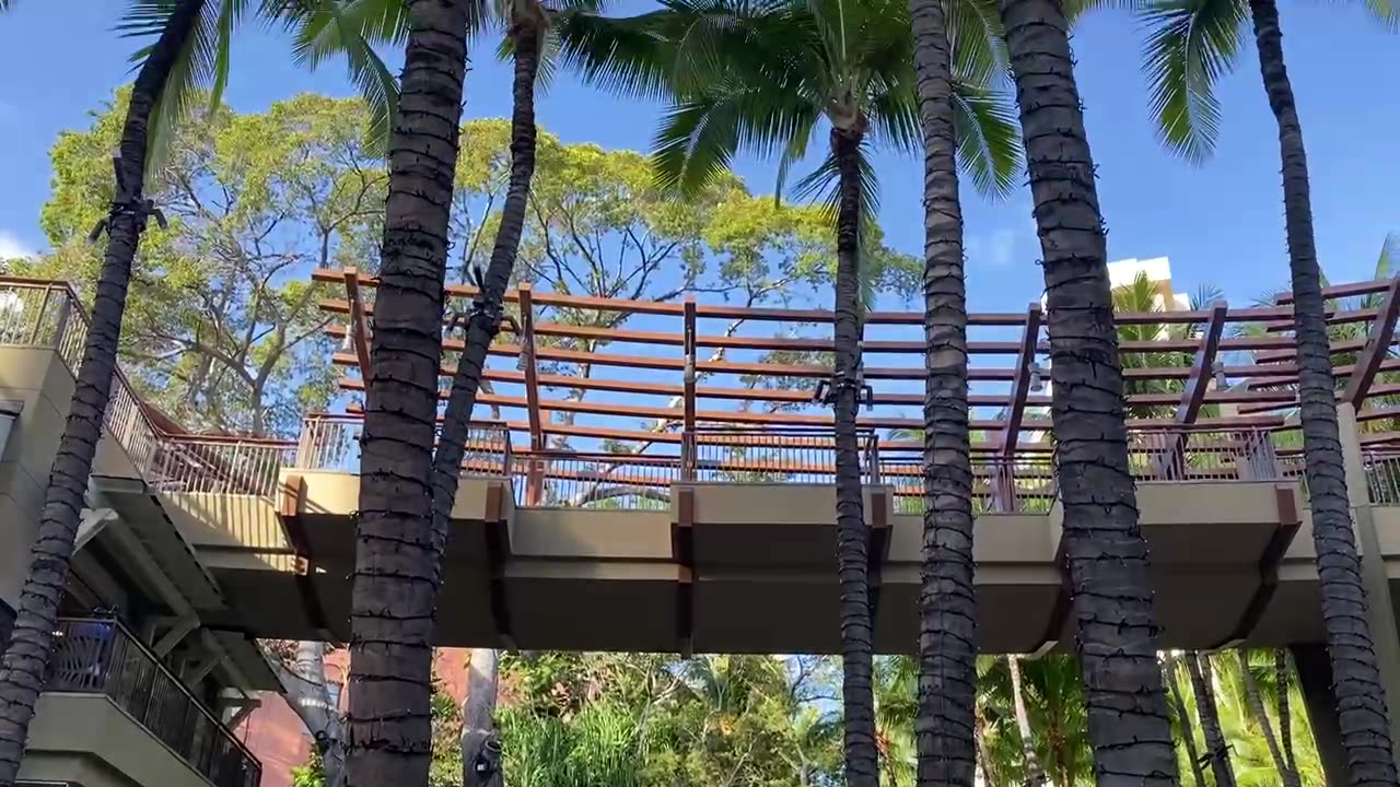 Vertical Camera Pan in Paradise