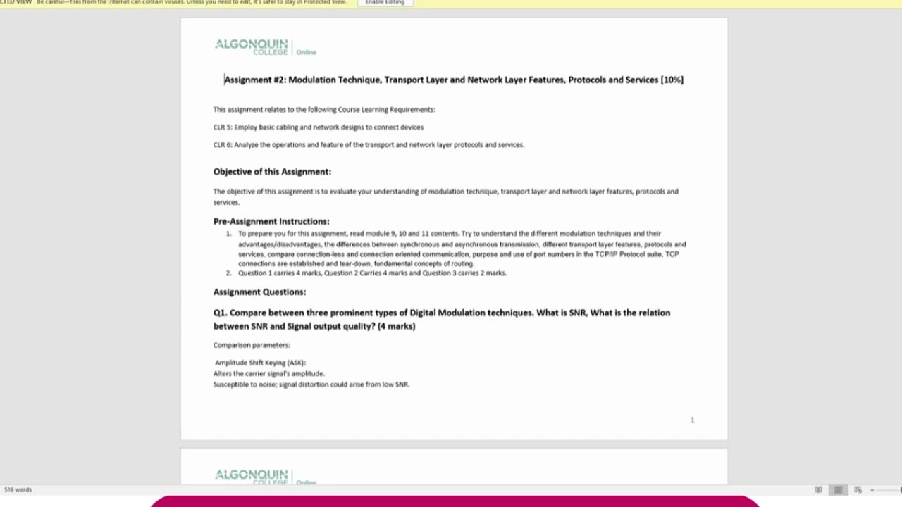 Student Work (Assignment)| 24F_CST8109_450 Network Programming Assignment 2 Work video | Algonquin