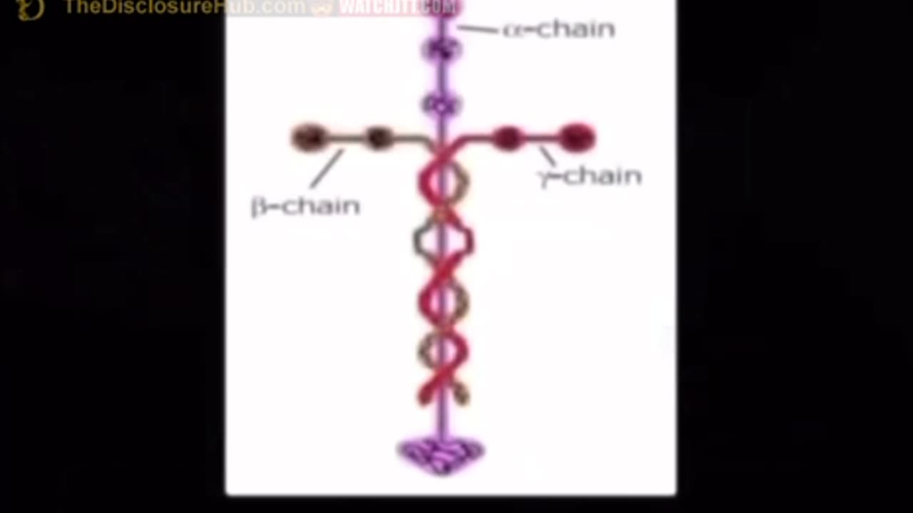 How would they have known this back when the cross was created?