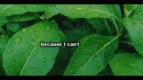 SHOW ME A MIRACLE (LYRIC)