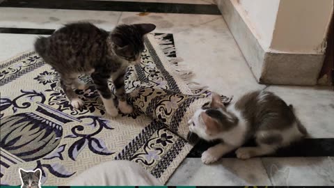 2nd Aug Wrench & Alt getting acclimatized with each other Part 2