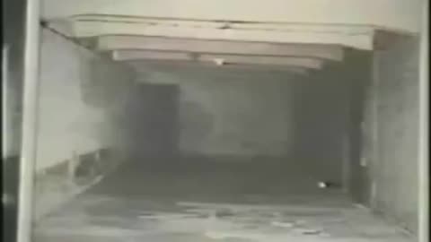 David Cole in Auschwitz full documentary 1992