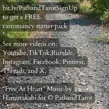 Vision Is Reality | Path and Tarot Reading