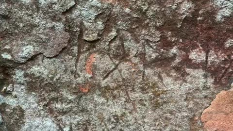 Vikings in Paraguay mystery solved?