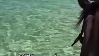 Animals are MAJESTICALLY MARVELOUS 🌊🐴🐬 💫👼🏻🪽💙🌹🌟