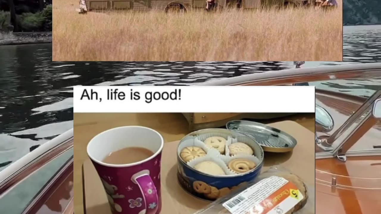 Memes of the day | funny memes | #funny