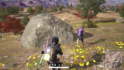 Reflex Action