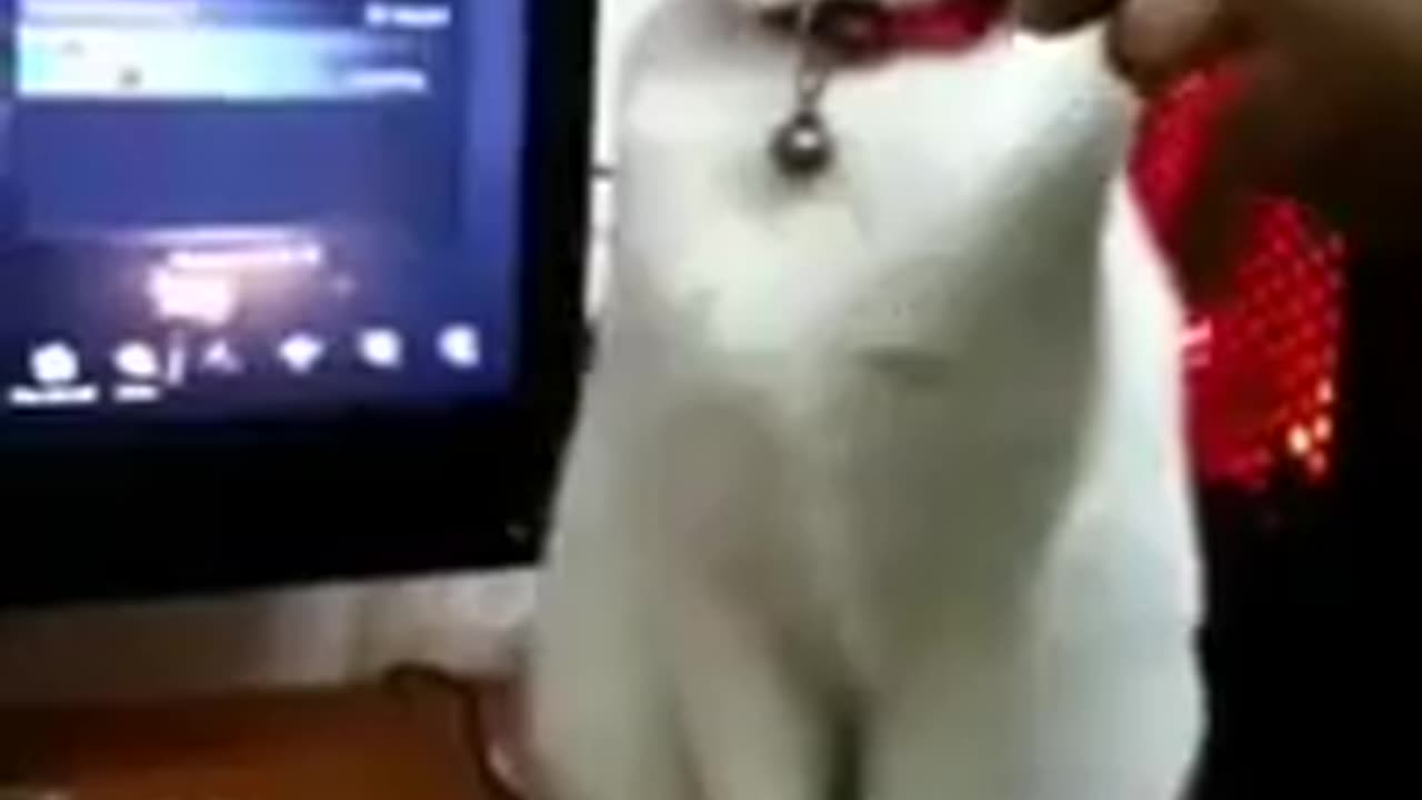 😂🐶 Dog Installing Updates! | FunFM