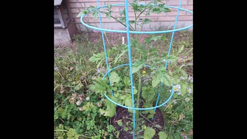 Build a Heated Garden Bed -This Is How I Did It