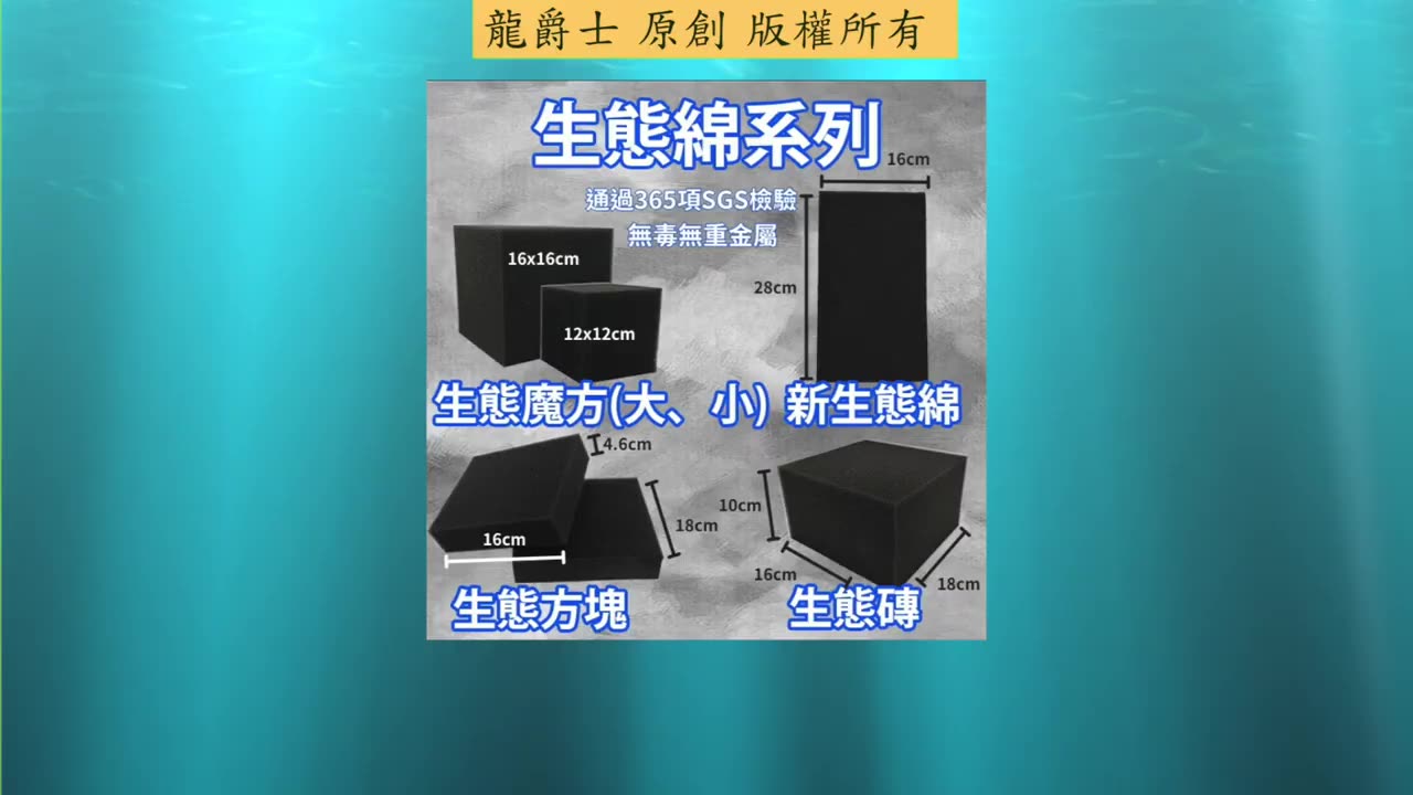 【龍爵士】千問千答 Q183-便當盒放生態棉會積水 要如何能透過去