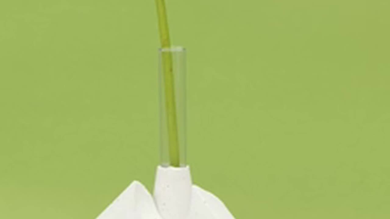 Daily Horoscope | Taurus 🌟