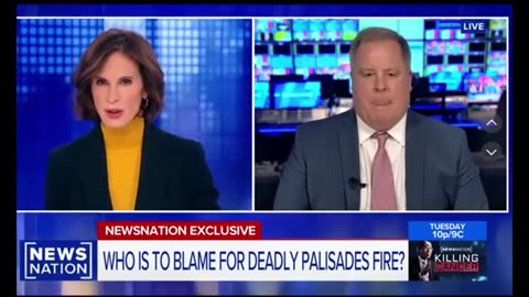 Disturbing Videos That Left Me Puzzled