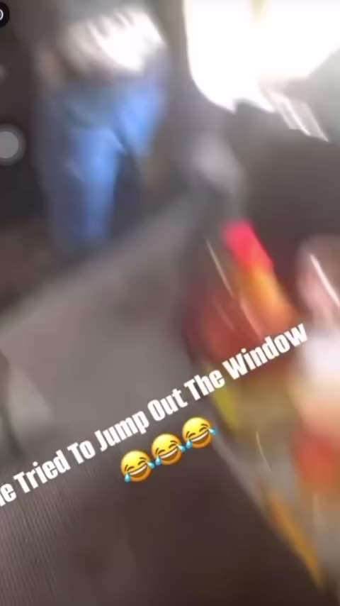 What it's like to live around darks, potential danger always