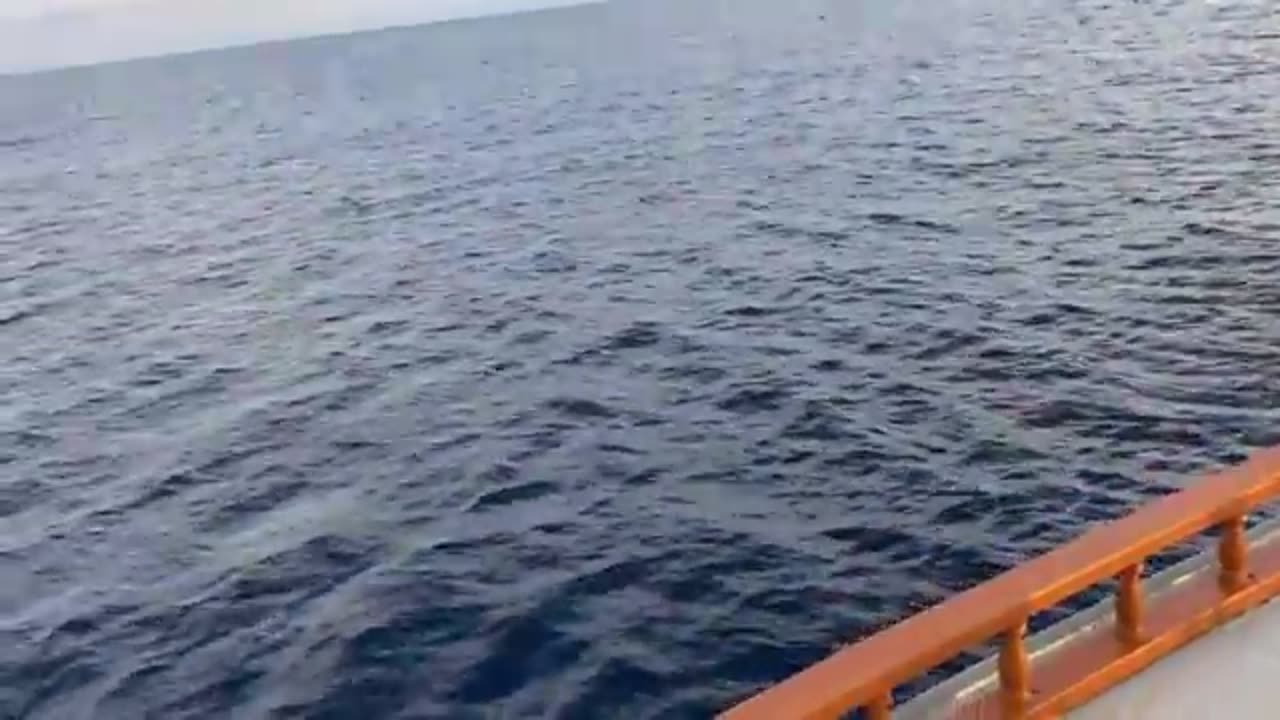 Shocking: 2 days in MALDIVES! #TravelVlog