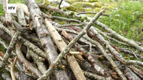 The Unknown Trails of Our Planet