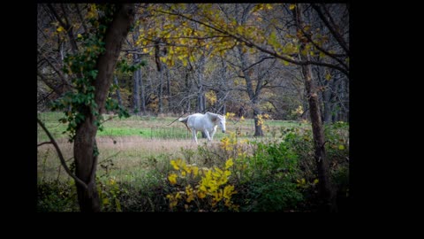 How Can You Believe? A Hindrance to Faith. 11/16/2025