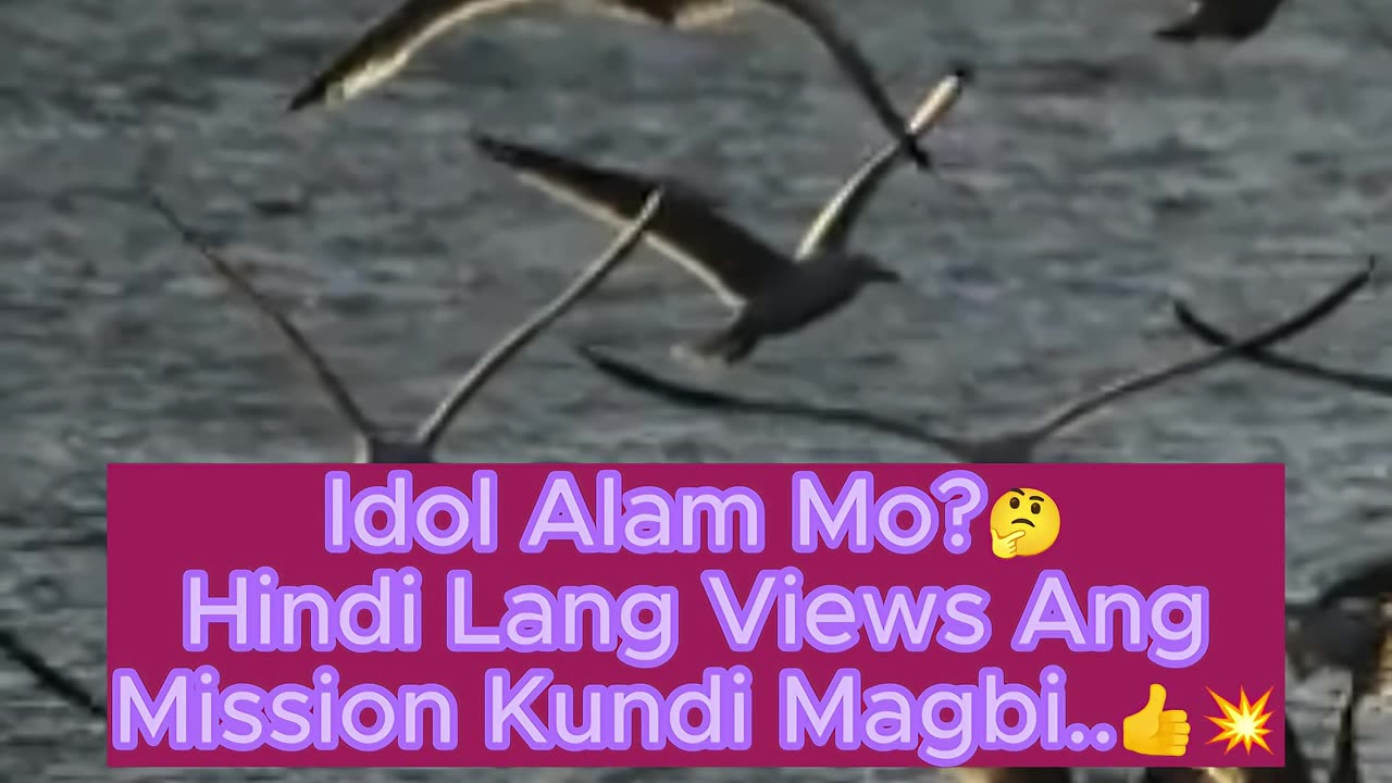 Hindi Lang Views Ang Mission