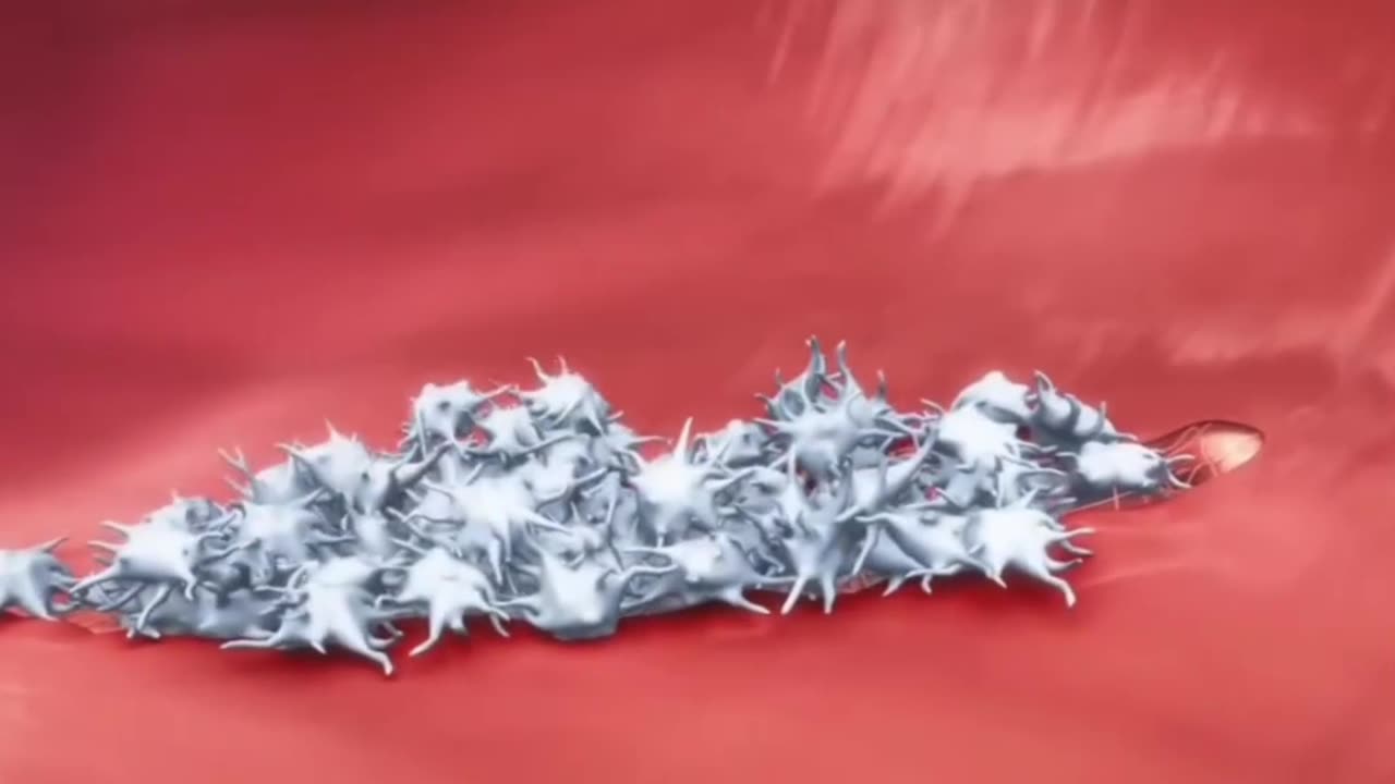 Process of wound healing