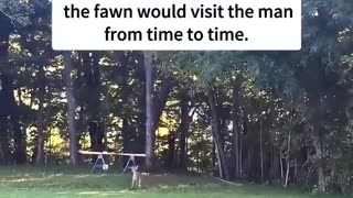 With everything going On today, take a break and watch this
