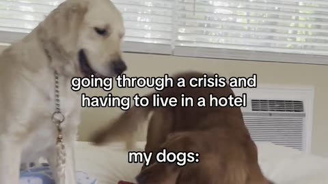 It Your Crisis, Not Theirs