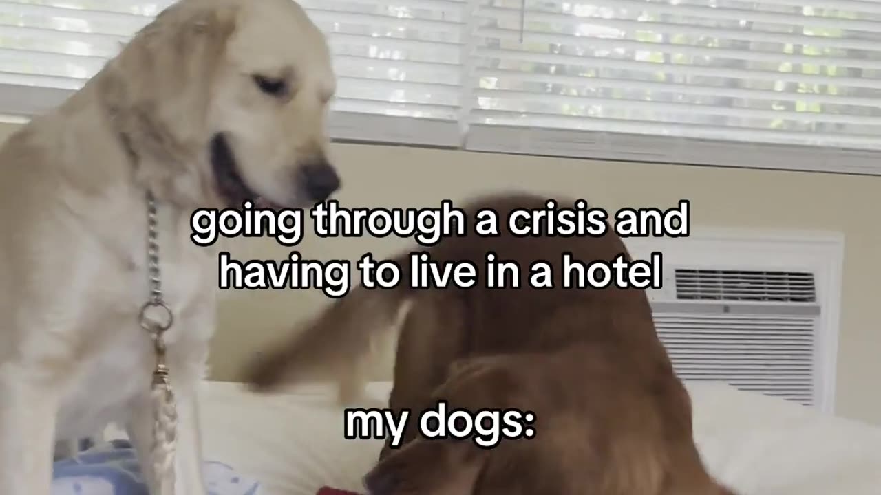 It Your Crisis, Not Theirs