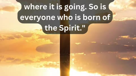 Journey of faith and spiritual growth John 3:8 Daily Bible Verse