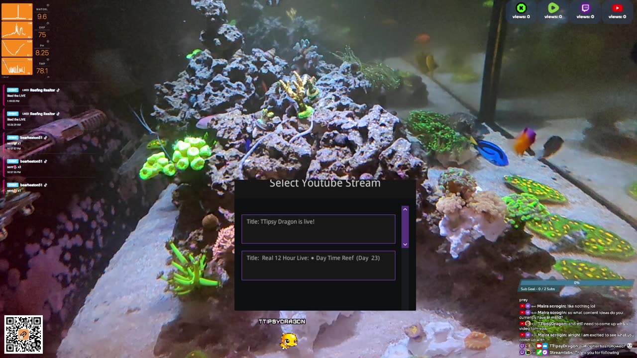 24/7 Real Live Reef Stream