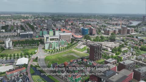 Op zoek naar een professionele ongediertebestrijding in Zaandam?