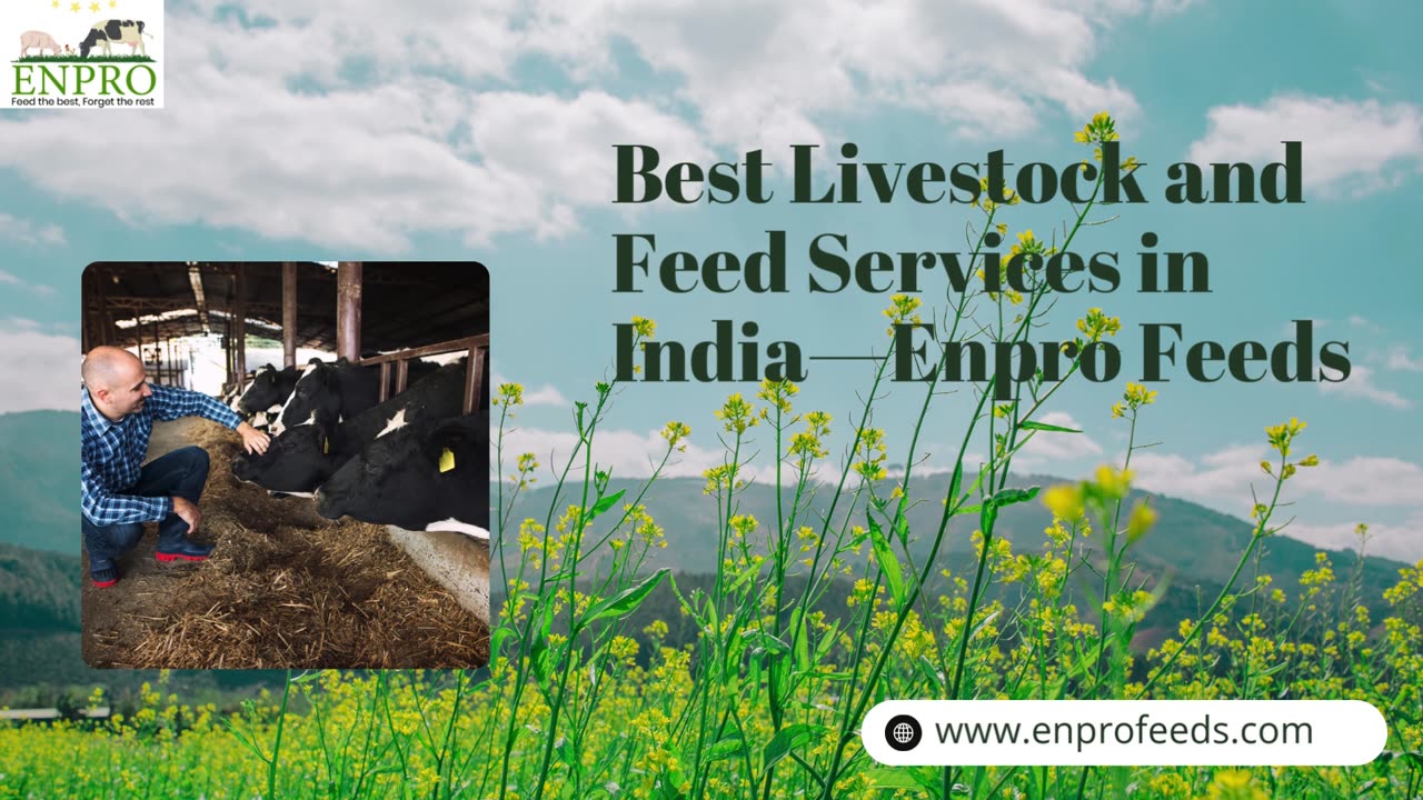 Best Livestock and Feed Services in India