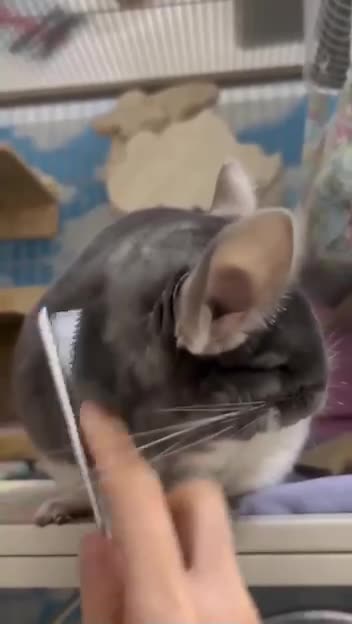 Extreme happiness 😊