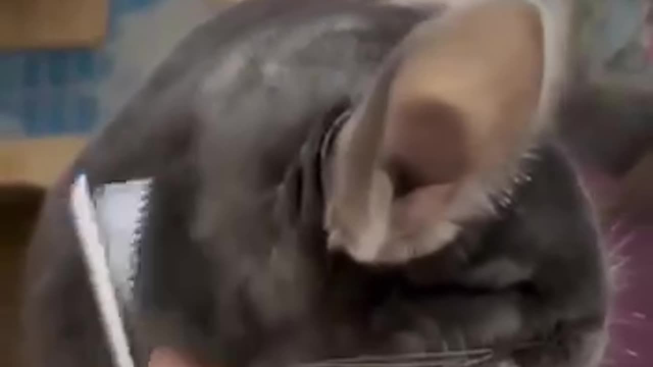 Extreme happiness 😊