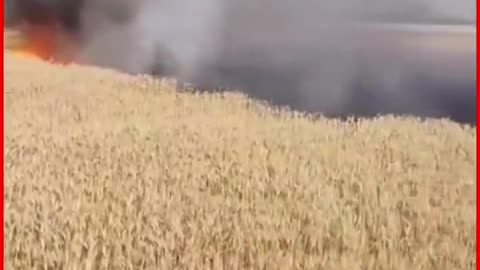 Shravasti: Fire Destroys Several Acres of Wheat Crop in Bantihawa Village