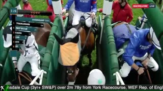 2025 Lonsdale Cup | Trawlerman, Sweet William, Shackleton
