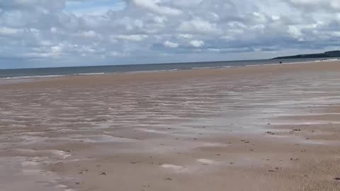 Beach life