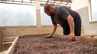 Trump cuts tariffs on some foods as inflation concerns mount