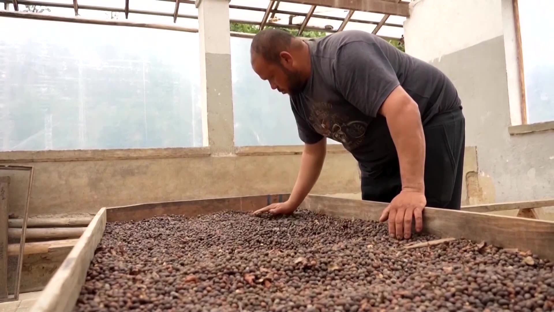 Trump cuts tariffs on some foods as inflation concerns mount