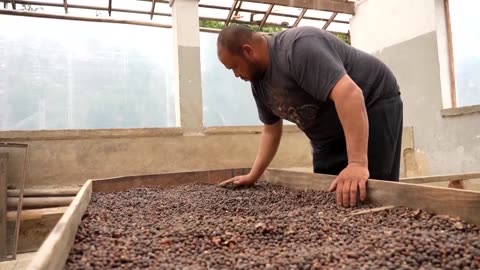 Trump cuts tariffs on some foods as inflation concerns mount