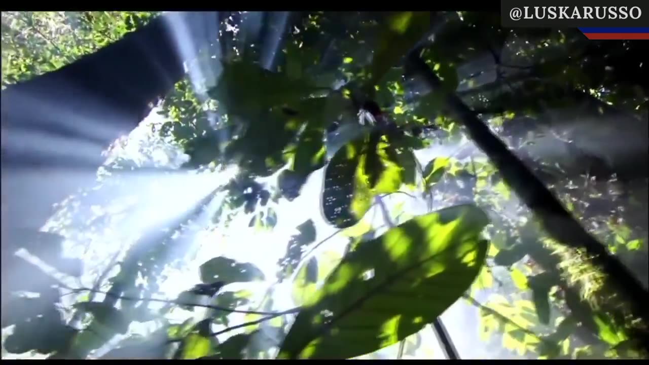 OUTMATRIX - Chemtrails - Rastros Químicos: A Guerra Secreta